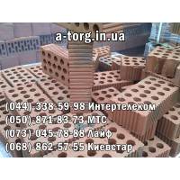 Галерея Кирпич пустотелый М-100